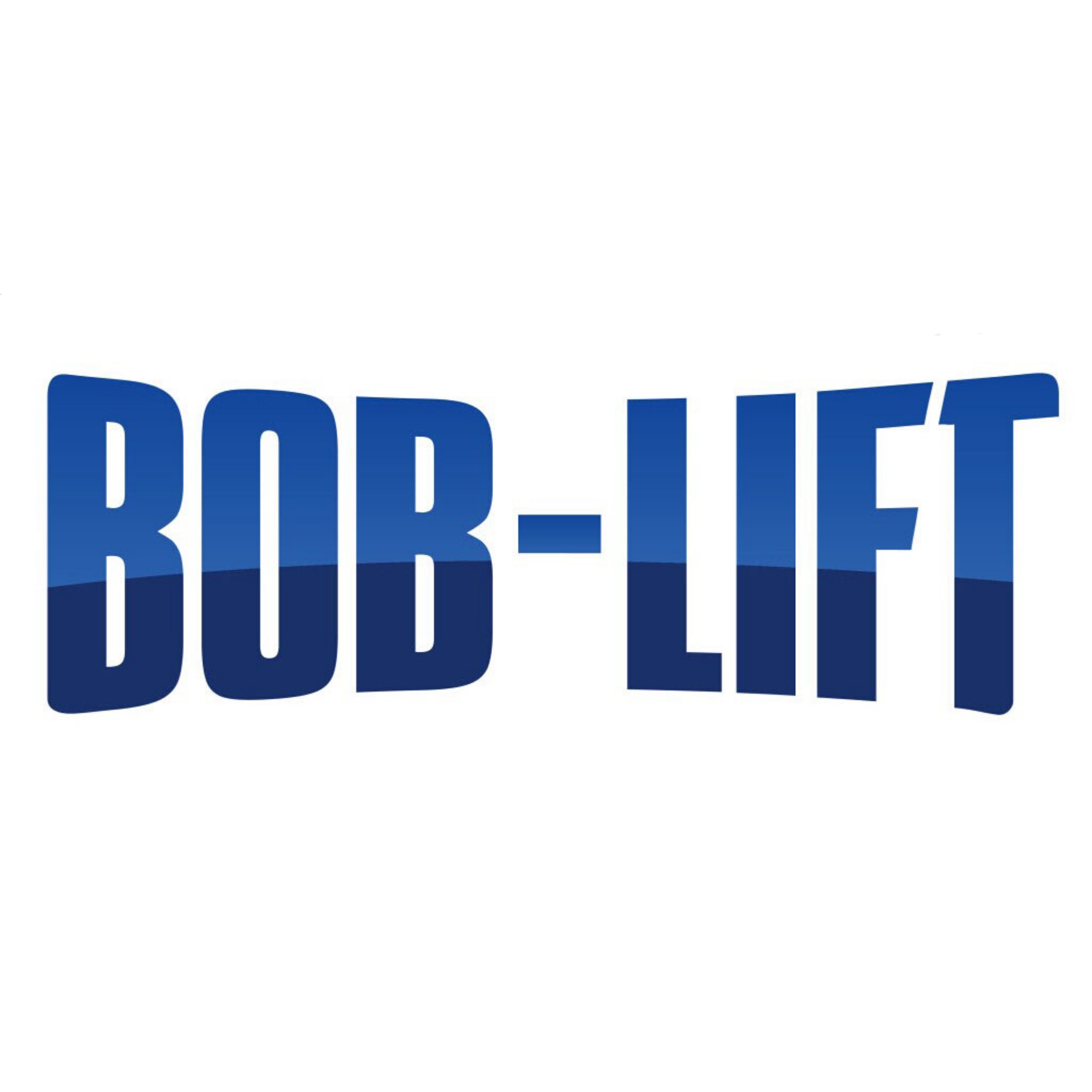 القوة تتحدث بصوت أعلى من الكلمات: لماذا تحظى BOB-LIFT بتفضيل كبير في معرض كانتون
